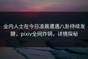 业内人士在今日凌晨遭遇八卦持续发酵，pixiv全网炸锅，详情探秘