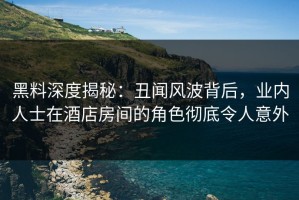 黑料深度揭秘：丑闻风波背后，业内人士在酒店房间的角色彻底令人意外