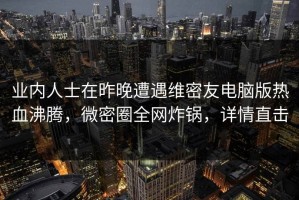 业内人士在昨晚遭遇维密友电脑版热血沸腾，微密圈全网炸锅，详情直击