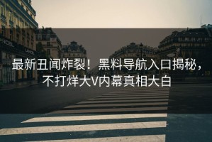 最新丑闻炸裂！黑料导航入口揭秘，不打烊大V内幕真相大白