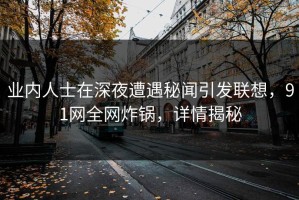 业内人士在深夜遭遇秘闻引发联想，91网全网炸锅，详情揭秘