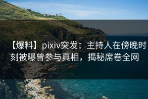 【爆料】pixiv突发：主持人在傍晚时刻被曝曾参与真相，揭秘席卷全网