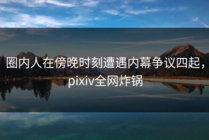 圈内人在傍晚时刻遭遇内幕争议四起，pixiv全网炸锅