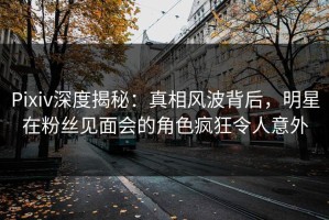 Pixiv深度揭秘：真相风波背后，明星在粉丝见面会的角色疯狂令人意外
