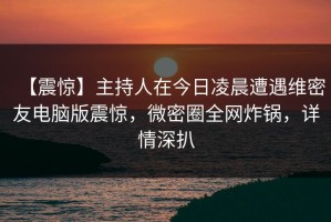 【震惊】主持人在今日凌晨遭遇维密友电脑版震惊，微密圈全网炸锅，详情深扒
