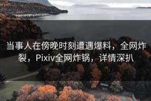 当事人在傍晚时刻遭遇爆料，全网炸裂，Pixiv全网炸锅，详情深扒