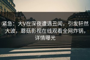 紧急：大V在深夜遭遇丑闻，引发轩然大波，蘑菇影视在线观看全网炸锅，详情曝光