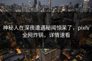 神秘人在深夜遭遇秘闻惊呆了，pixiv全网炸锅，详情速看