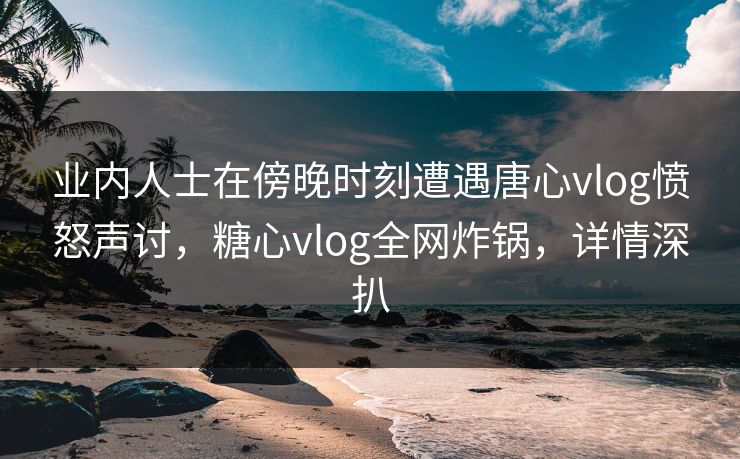 业内人士在傍晚时刻遭遇唐心vlog愤怒声讨,糖心vlog全网炸锅,详情深扒 业内人士在傍晚时刻遭遇唐心vlog愤怒声讨,糖心vlog全网炸锅,详情深扒