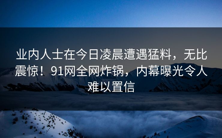 业内人士在今日凌晨遭遇猛料，无比震惊！91网全网炸锅，内幕曝光令人难以置信