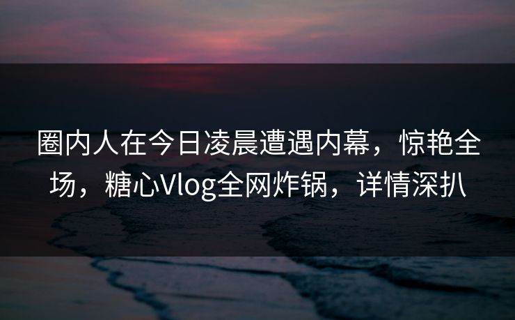 圈内人在今日凌晨遭遇内幕，惊艳全场，糖心Vlog全网炸锅，详情深扒
