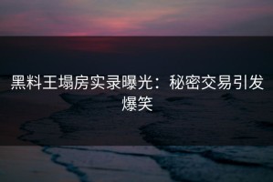 黑料王塌房实录曝光：秘密交易引发爆笑