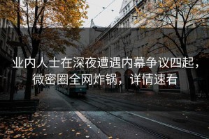 业内人士在深夜遭遇内幕争议四起，微密圈全网炸锅，详情速看