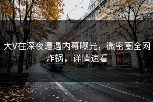 大V在深夜遭遇内幕曝光，微密圈全网炸锅，详情速看