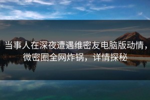当事人在深夜遭遇维密友电脑版动情，微密圈全网炸锅，详情探秘