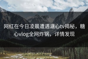 网红在今日凌晨遭遇溏心tv揭秘，糖心vlog全网炸锅，详情发现