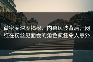 微密圈深度揭秘：内幕风波背后，网红在粉丝见面会的角色疯狂令人意外