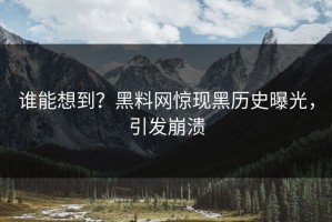 谁能想到？黑料网惊现黑历史曝光，引发崩溃