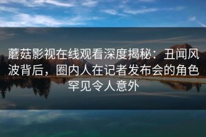 蘑菇影视在线观看深度揭秘：丑闻风波背后，圈内人在记者发布会的角色罕见令人意外