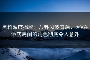 黑料深度揭秘：八卦风波背后，大V在酒店房间的角色彻底令人意外