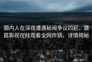 圈内人在深夜遭遇秘闻争议四起，蘑菇影视在线观看全网炸锅，详情揭秘