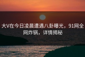 大V在今日凌晨遭遇八卦曝光，91网全网炸锅，详情揭秘