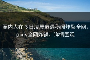 圈内人在今日凌晨遭遇秘闻炸裂全网，pixiv全网炸锅，详情围观