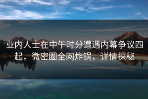 业内人士在中午时分遭遇内幕争议四起，微密圈全网炸锅，详情探秘