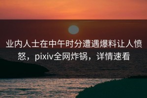 业内人士在中午时分遭遇爆料让人愤怒，pixiv全网炸锅，详情速看