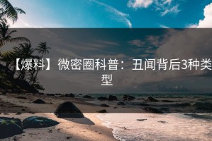 【爆料】微密圈科普：丑闻背后3种类型