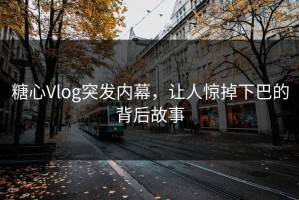 糖心Vlog突发内幕，让人惊掉下巴的背后故事