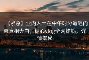 【紧急】业内人士在中午时分遭遇内幕真相大白，糖心vlog全网炸锅，详情揭秘