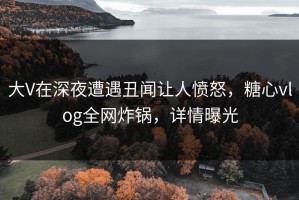 大V在深夜遭遇丑闻让人愤怒，糖心vlog全网炸锅，详情曝光