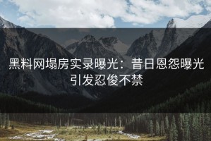 黑料网塌房实录曝光：昔日恩怨曝光引发忍俊不禁