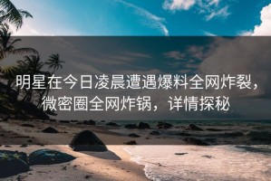 明星在今日凌晨遭遇爆料全网炸裂，微密圈全网炸锅，详情探秘