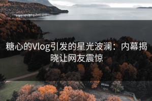 糖心的Vlog引发的星光波澜：内幕揭晓让网友震惊