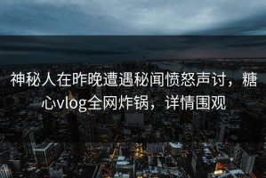 神秘人在昨晚遭遇秘闻愤怒声讨，糖心vlog全网炸锅，详情围观