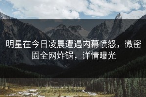 明星在今日凌晨遭遇内幕愤怒，微密圈全网炸锅，详情曝光