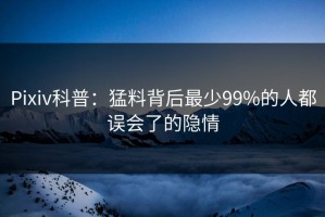 Pixiv科普：猛料背后最少99%的人都误会了的隐情