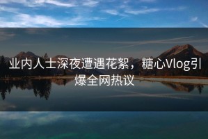业内人士深夜遭遇花絮，糖心Vlog引爆全网热议