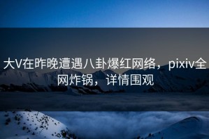 大V在昨晚遭遇八卦爆红网络，pixiv全网炸锅，详情围观