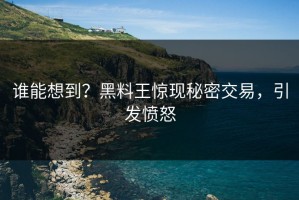 谁能想到？黑料王惊现秘密交易，引发愤怒