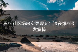 黑料社区塌房实录曝光：深夜爆料引发震惊