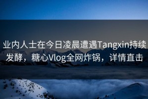 业内人士在今日凌晨遭遇Tangxin持续发酵，糖心Vlog全网炸锅，详情直击
