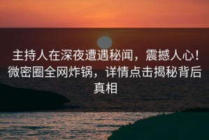 主持人在深夜遭遇秘闻，震撼人心！微密圈全网炸锅，详情点击揭秘背后真相