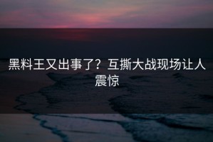 黑料王又出事了？互撕大战现场让人震惊