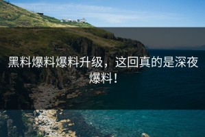 黑料爆料爆料升级，这回真的是深夜爆料！