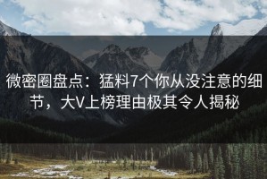 微密圈盘点：猛料7个你从没注意的细节，大V上榜理由极其令人揭秘