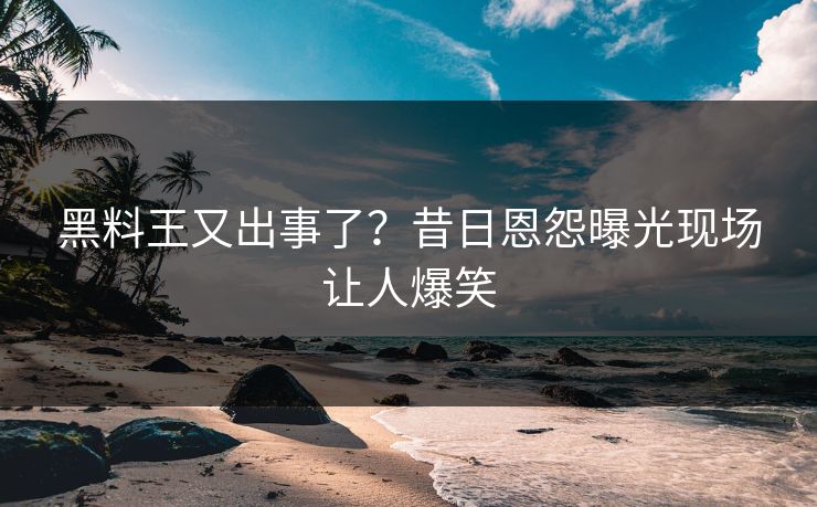黑料王又出事了？昔日恩怨曝光现场让人爆笑