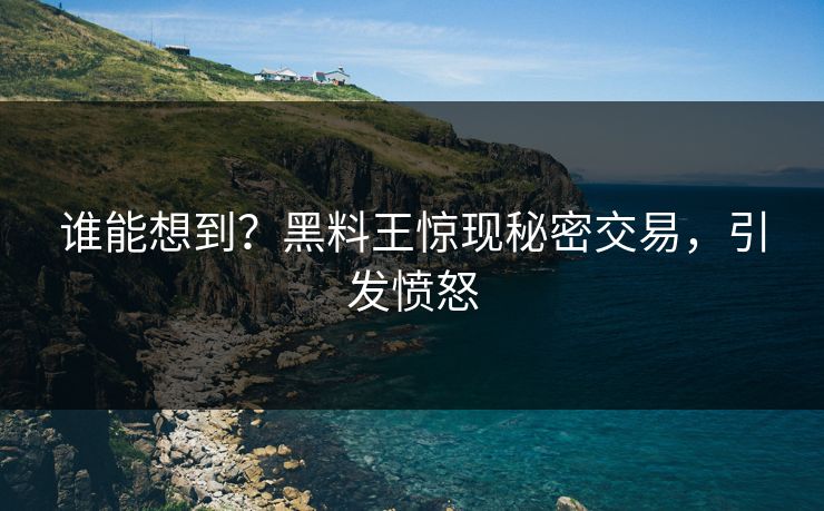谁能想到？黑料王惊现秘密交易，引发愤怒